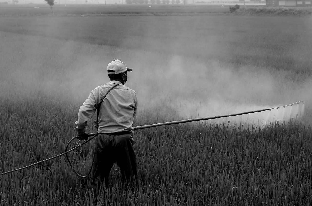 Lee más sobre el artículo Datos sueltos y mezclados: La EPA sobre el Roundup de Monsanto