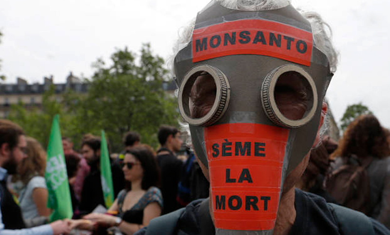 Cómo Monsanto fabricó la campaña de ‘indignación’ ante la clasificación de su producto como cancerígeno