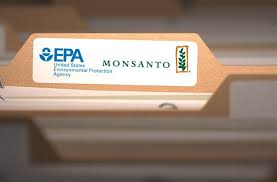 En este momento estás viendo Oficial de la EPA, acusado de ayudar a Monsanto a “cajonear” un estudio sobre el riesgo cancerígeno de sus productos