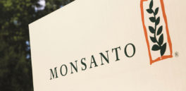 Las agencias reguladoras, bajo la influencia de Monsanto