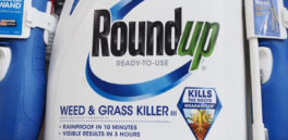 Habla la abogada del próximo juicio contra Roundup por provocar cáncer