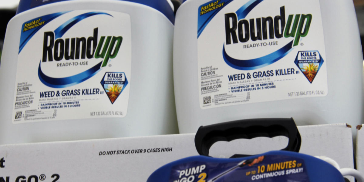 You are currently viewing Monsanto culpable: segunda condena contra el Roundup por cancerígeno
