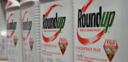 Por tercera vez, Monsanto fue declarado culpable por enfermar a sabiendas del peligro