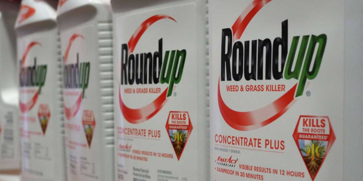 Por tercera vez, Monsanto fue declarado culpable por enfermar a sabiendas del peligro